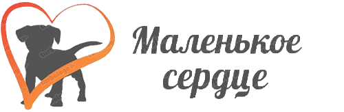 Приют "Маленькое сердце" Приют "Маленькое сердце"
